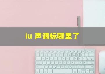 iu 声调标哪里了